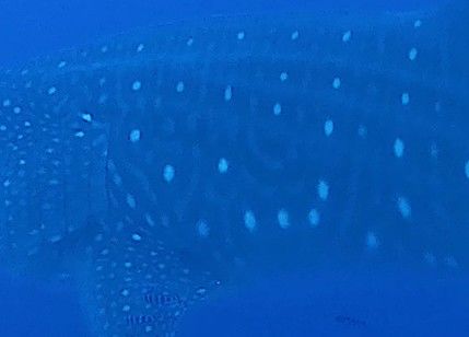 586d5f71-4c86-4676-9d3a-fc8a2fde40f5