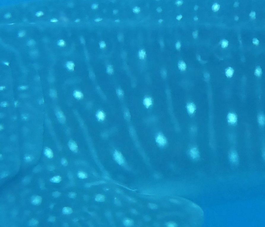 1608111a-48fe-48a5-9677-e0041e5b62ea