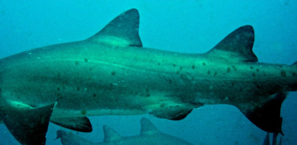 e01fd35e-ae97-4d6e-9cd8-9cd38adba9b2