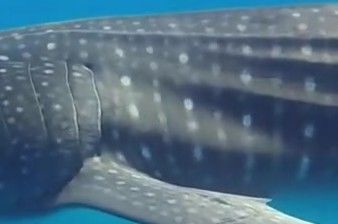 32d44f9a-1f1f-4de4-b565-f3fece18675f