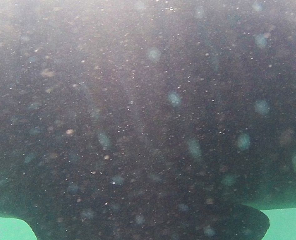 5719a07b-2b60-43f4-92f2-8d331bb6603b