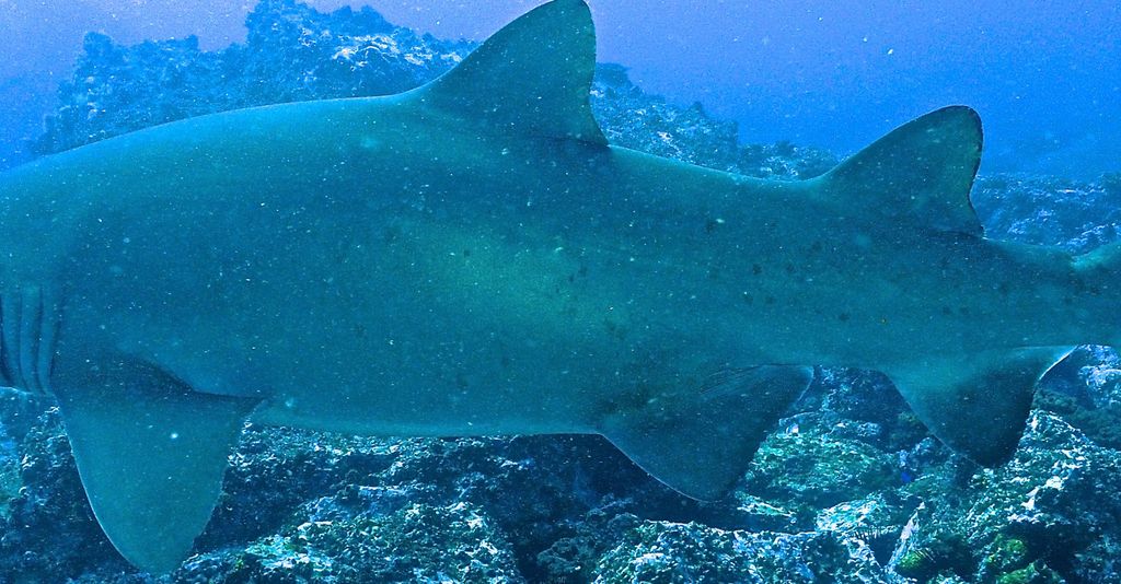 ce66660d-8160-45bb-b45c-203c581ecce3