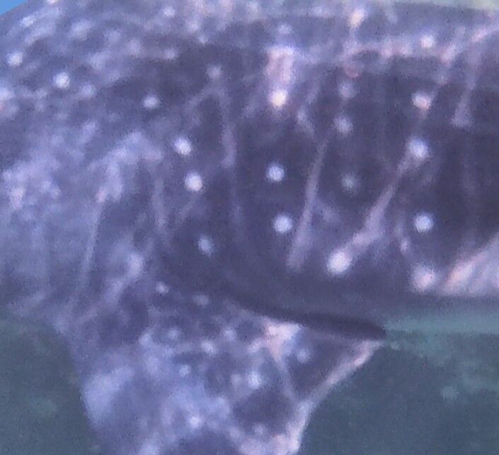 61017ffa-ff1b-4437-b5ee-d9000c088bc6