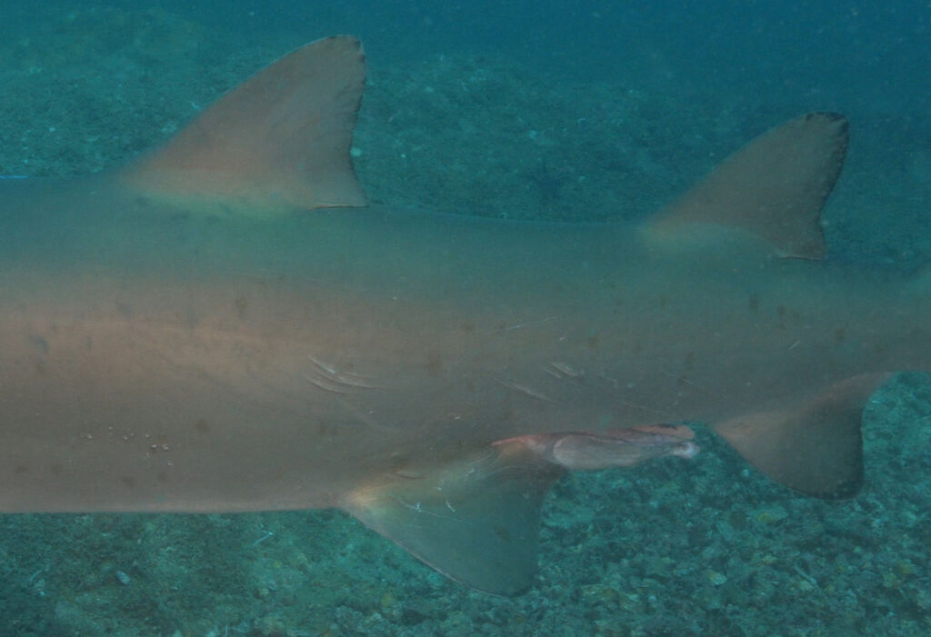 2c14094c-3ead-4f36-8fb1-7f7f5050855c