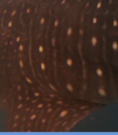 7c638347-5a4d-4639-833a-ae50976d0a37