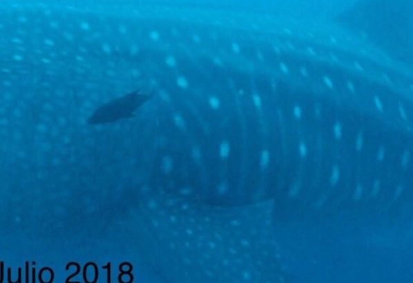 829b6956-1a08-44f7-ad6d-15734a9bf484