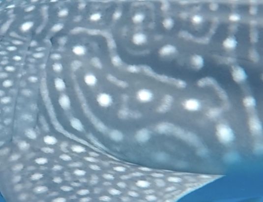 69379e48-fce9-4e39-8ef8-8877f747025e