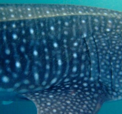 889935eb-dfb2-4d57-91a3-436e8dce957b