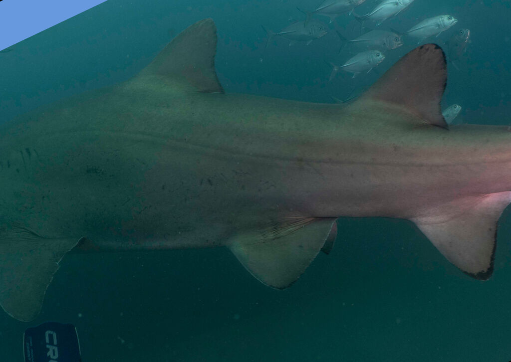 f50df1e7-4a79-40bc-860e-27adeeba150e