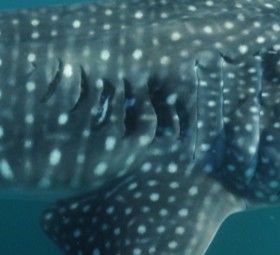 51634214-660f-4ad4-a3a0-1ed099bdfa81