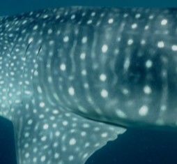 51634214-660f-4ad4-a3a0-1ed099bdfa81