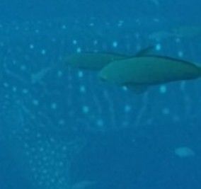 844742bf-b86f-40fe-9e63-d94be824223d