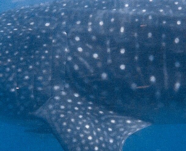 0d506037-2226-4392-861e-6dd8d1a7696b