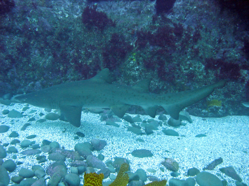 45a5a5ad-d8b3-42f6-b5cd-50171635298a