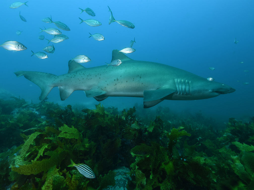 1f7d84a7-c635-476d-9727-4f4fa39b8fd1