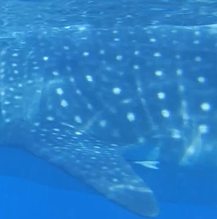 73ae4459-e86b-435d-b529-5854fae6bdc9