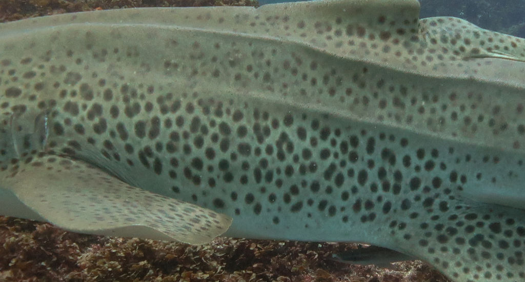 d8da3b5f-bd73-411c-9829-c55d7b7d84c4