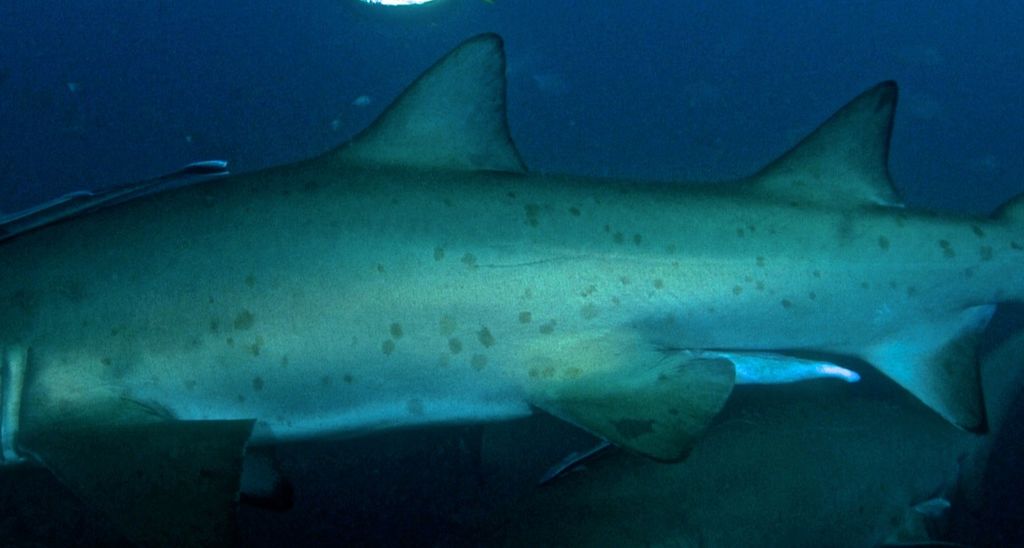 824fcc54-4f7a-44cf-aee1-122c26dfabdb