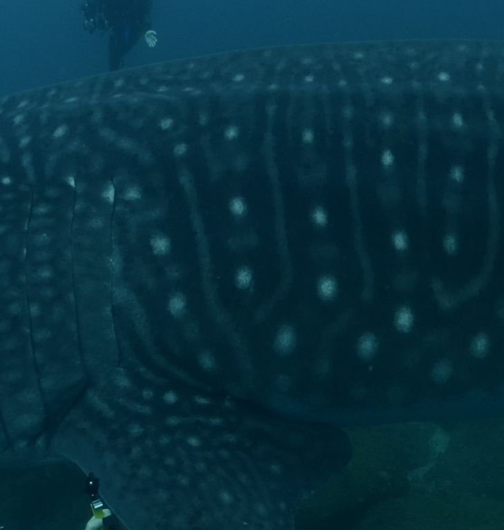 20bef200-42c8-41ce-91b9-ebd06bff9d57