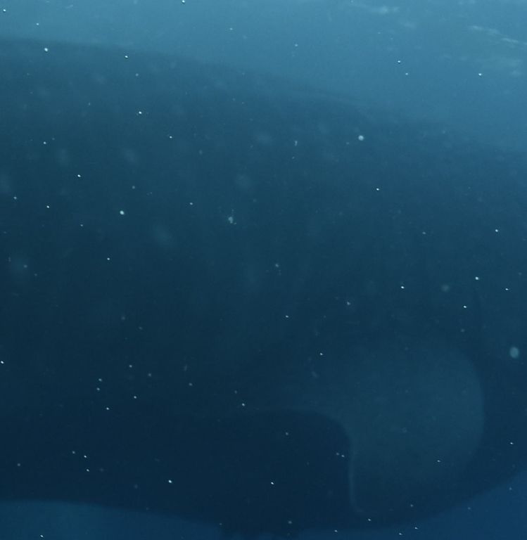 20bef200-42c8-41ce-91b9-ebd06bff9d57