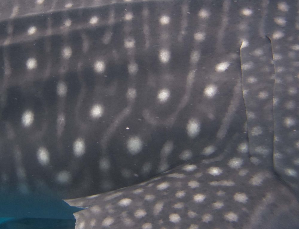 6fb1fb0f-6e1f-4cfa-977d-86e10c4baaf4