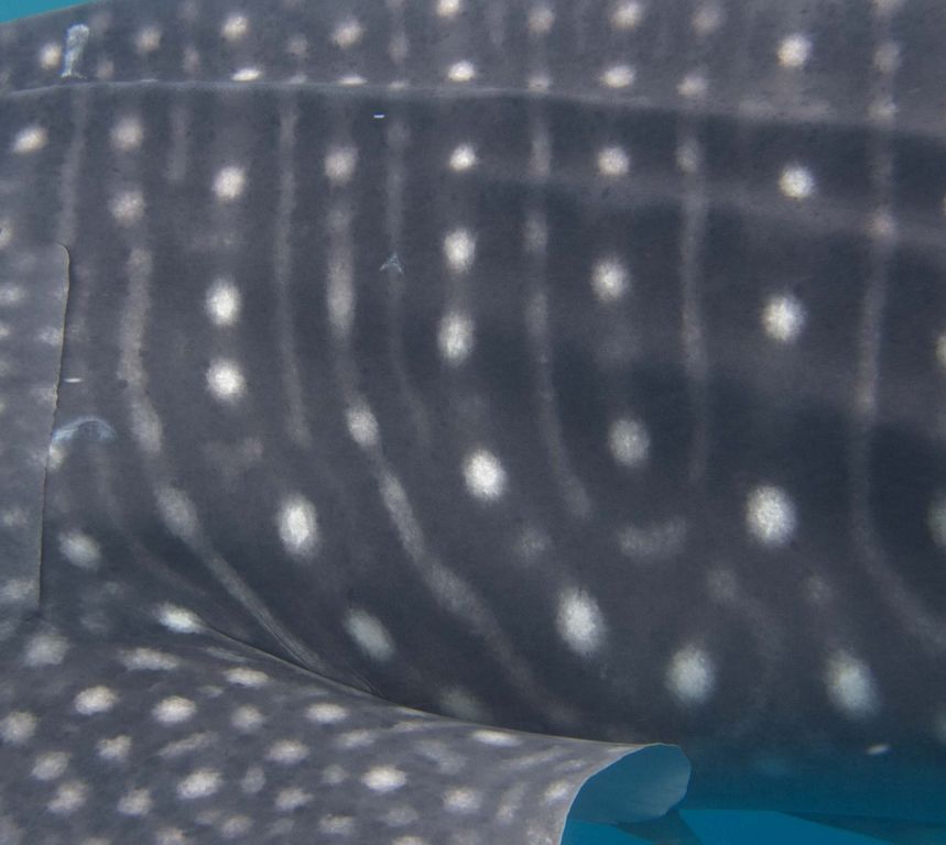 6fb1fb0f-6e1f-4cfa-977d-86e10c4baaf4