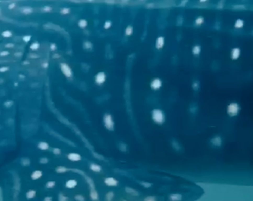 0afb7b23-d164-4552-9d87-ee102f04f19b