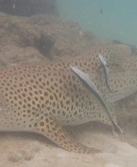 085a6f4b-d72c-45bb-87ba-ed1300a1ea95