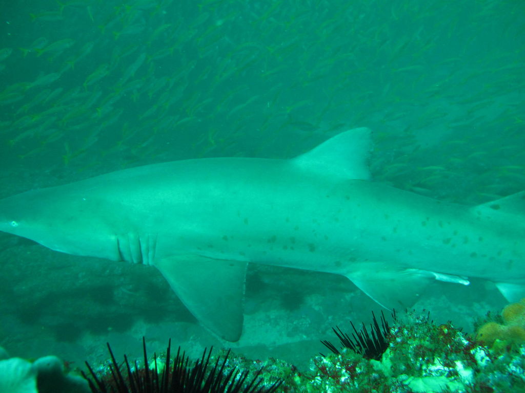 daad77dd-f637-4b99-b4d2-b83909c5859e