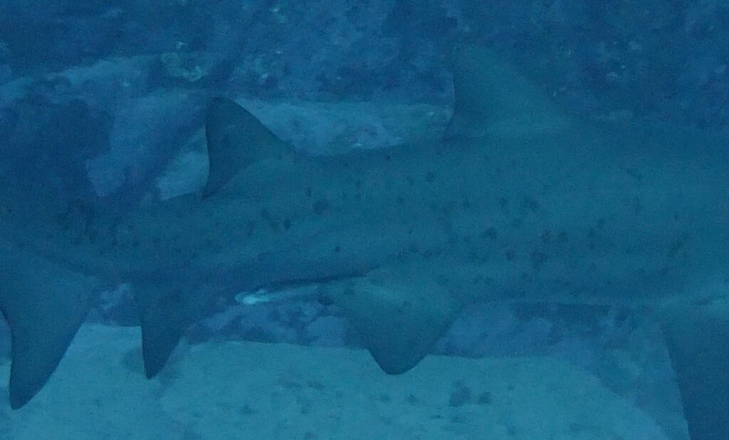 c9d850a4-32ee-444c-9687-d22b1f926c3c