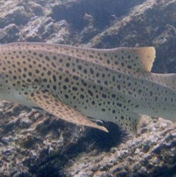 5bcce512-ca0c-4bd5-8ba7-bd7a26ba1a67