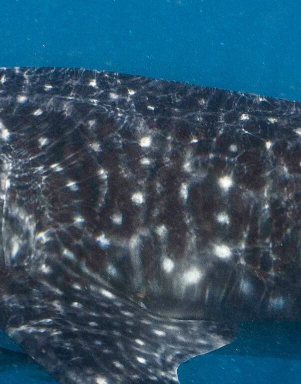 f1384e8e-4a1d-4a9f-809c-2330ad0e13c1