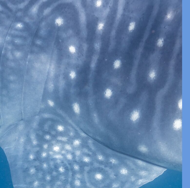 697c52aa-c096-4a3f-bb03-e9a2dea80adc