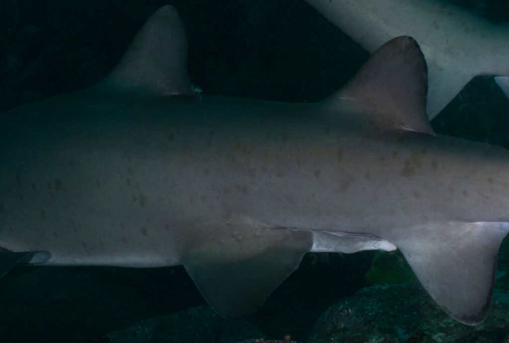 e5e87d37-486b-457c-bb58-46150aaf1670