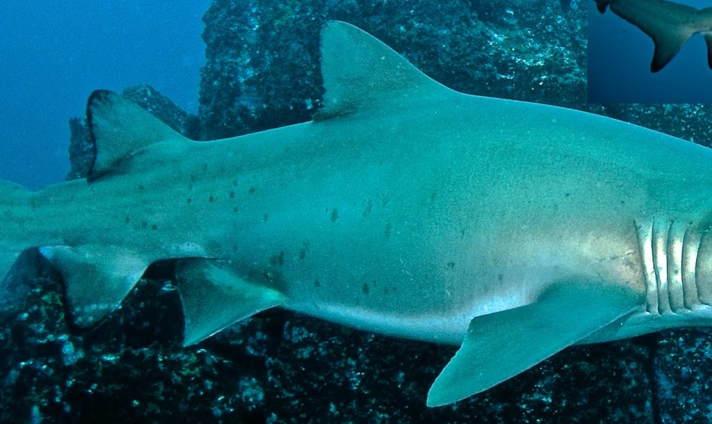 22683fa6-7aaa-495c-b420-7555a01742fa