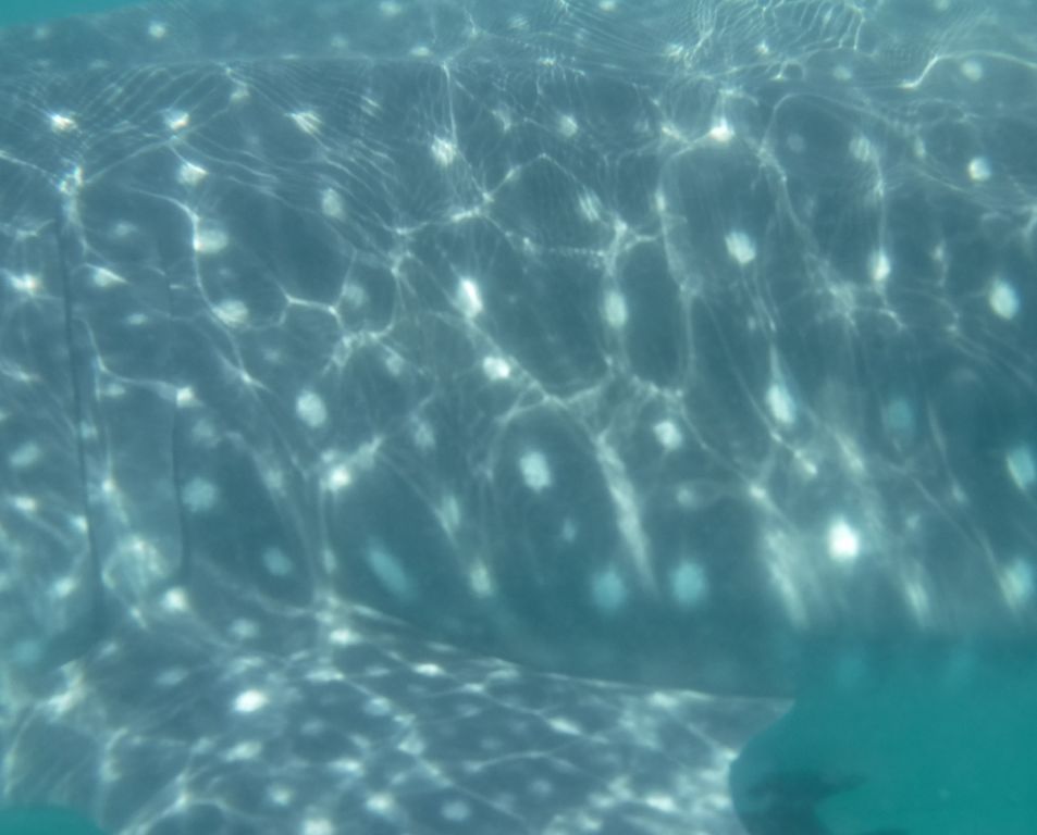 45ef75b9-6ef9-4306-9d28-2613610c72af