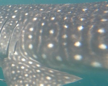 7f338113-e6af-4a8b-add8-a86b177bb66a