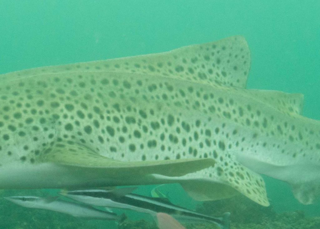 ab2154be-df6d-4f5f-b5ce-c307f40639e5