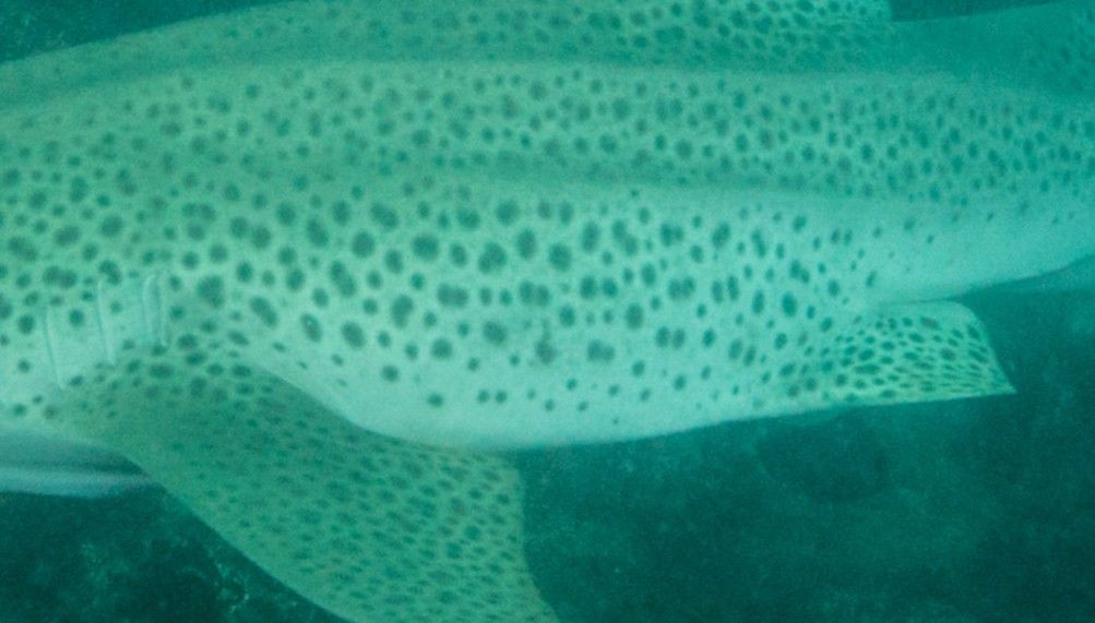 7728f5a8-1ecd-44d0-be79-edf8ef47b020