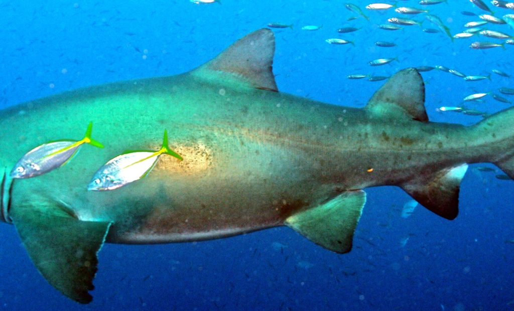 dcd90528-15e1-43a9-b947-f36ea996e5a0