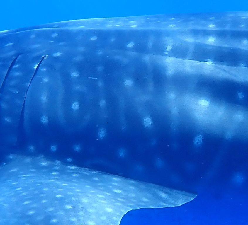 6f32078d-ca76-4f13-8c99-c7d7f2314e59