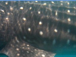 36cf30b3-44ed-4262-a748-6ef936904406