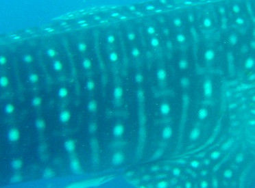 c6d47ed0-61cf-4a58-a59d-69f84d5de032