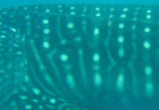 c6d47ed0-61cf-4a58-a59d-69f84d5de032