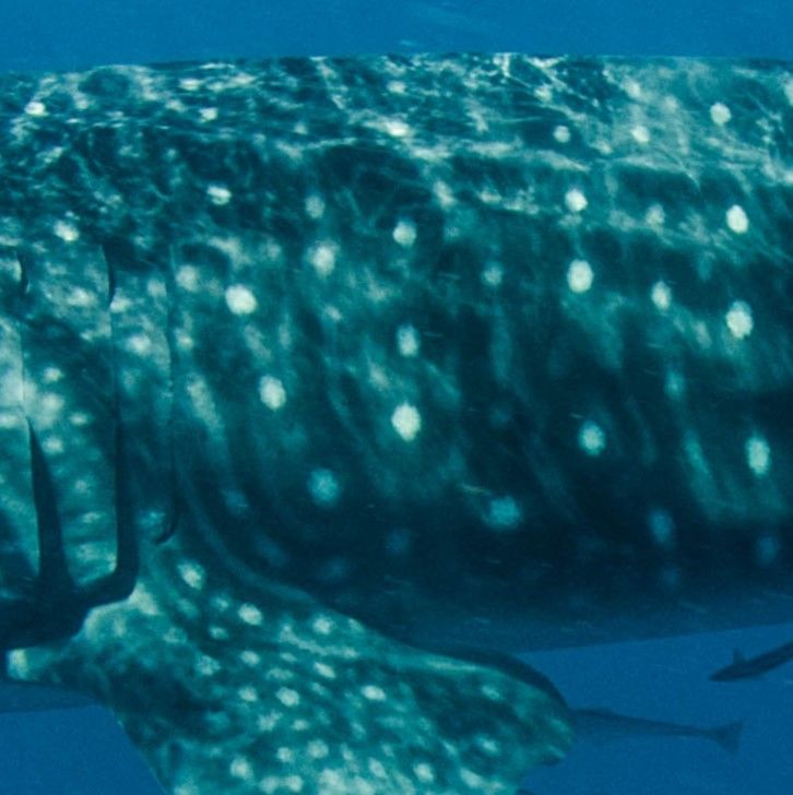 ec7c312e-0a1f-4b69-aa76-12f818bb212d