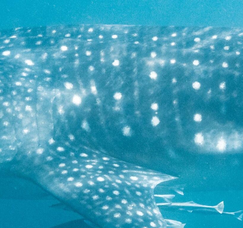 06b656ea-d721-4ef0-8f2b-5cb80f2f9ed1