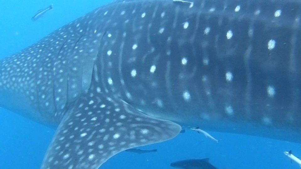 7c744ce4-b12c-4325-9e61-2898cfd71888