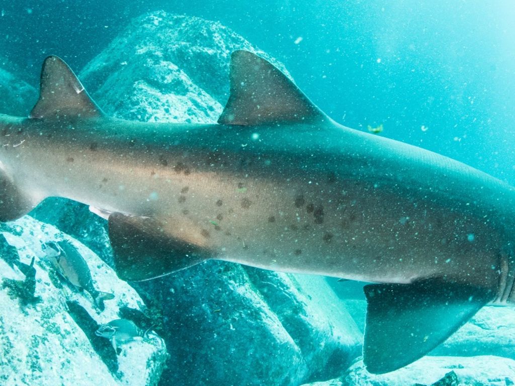 82a33298-e55c-4a5b-bd5c-6b86f99e53cd