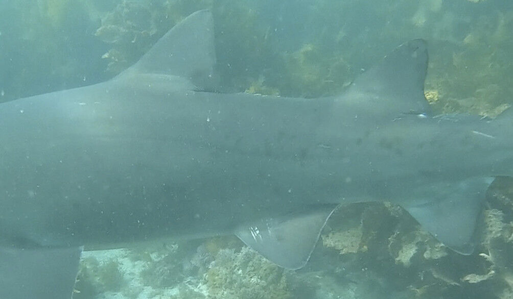 f3ce96e5-c783-4b47-8694-967fb9deb131