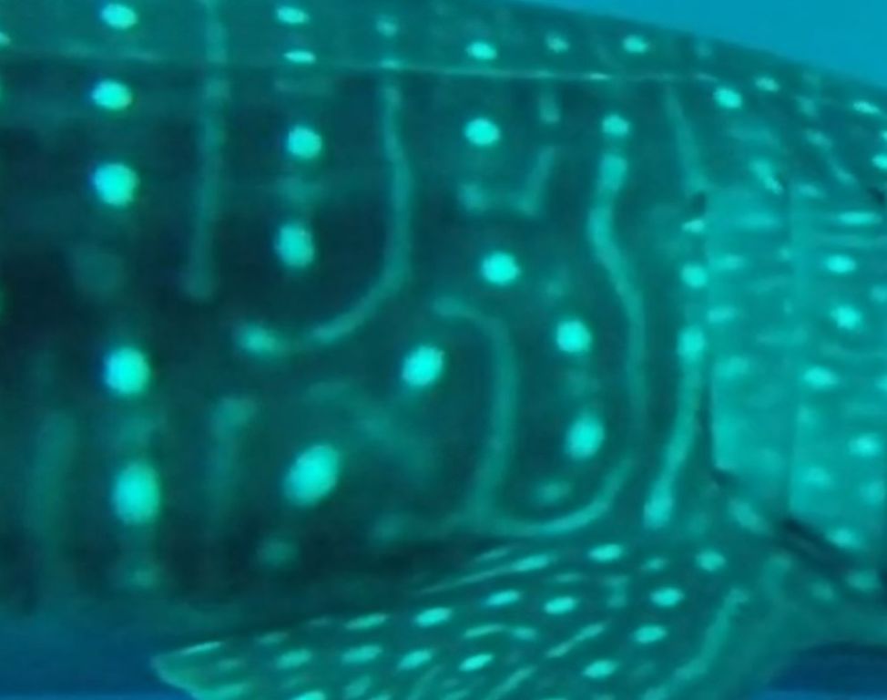 aae152c6-98c6-4a8e-b5f9-8be9e1033329